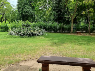 screenshot 2026 01 25 063824